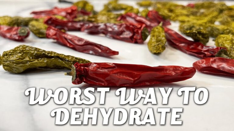 How to Dehydrate Food With an Air Fryer