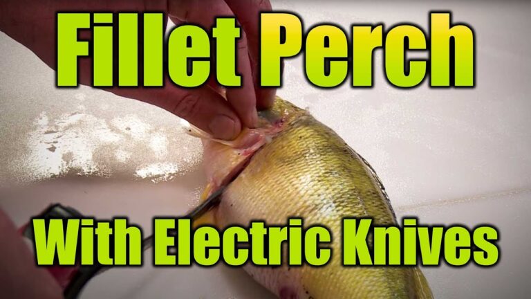 How to Fillet Fish With Electric Knife