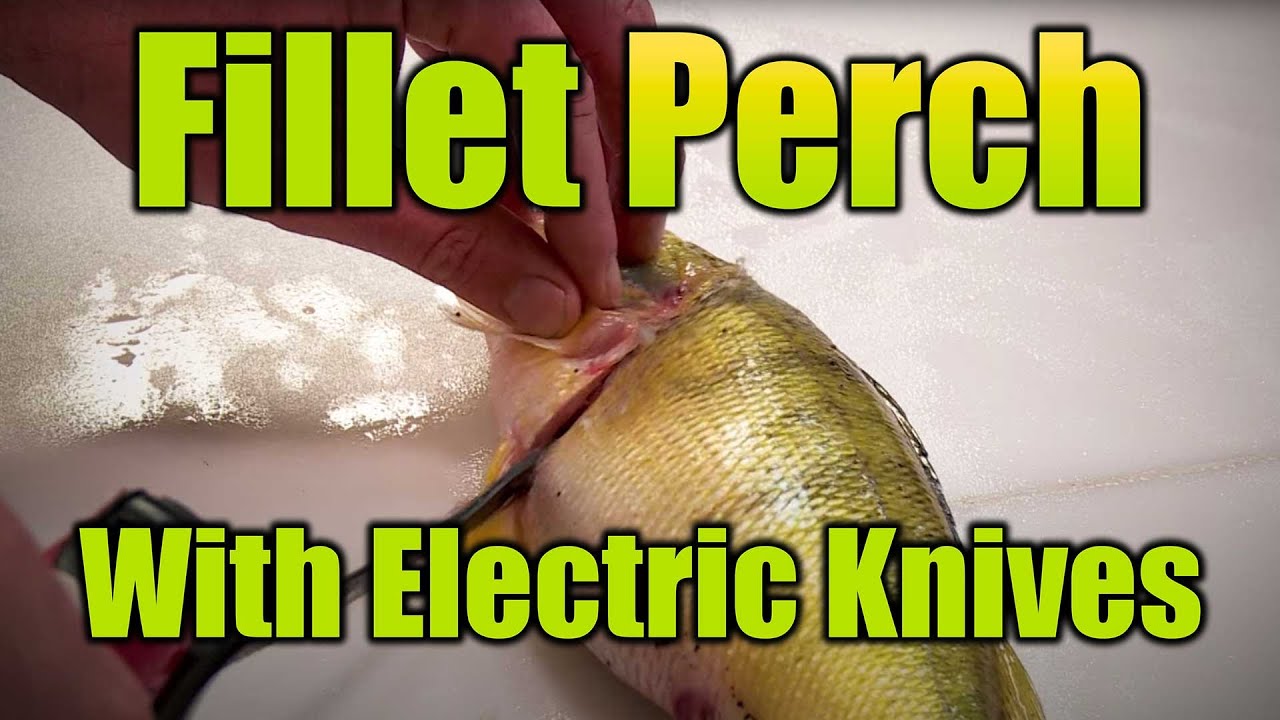 How to Fillet Fish With Electric Knife